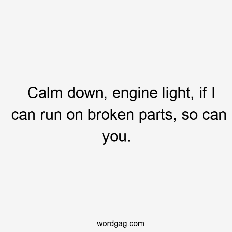 Calm down, engine light, if I can run on broken parts, so can you.