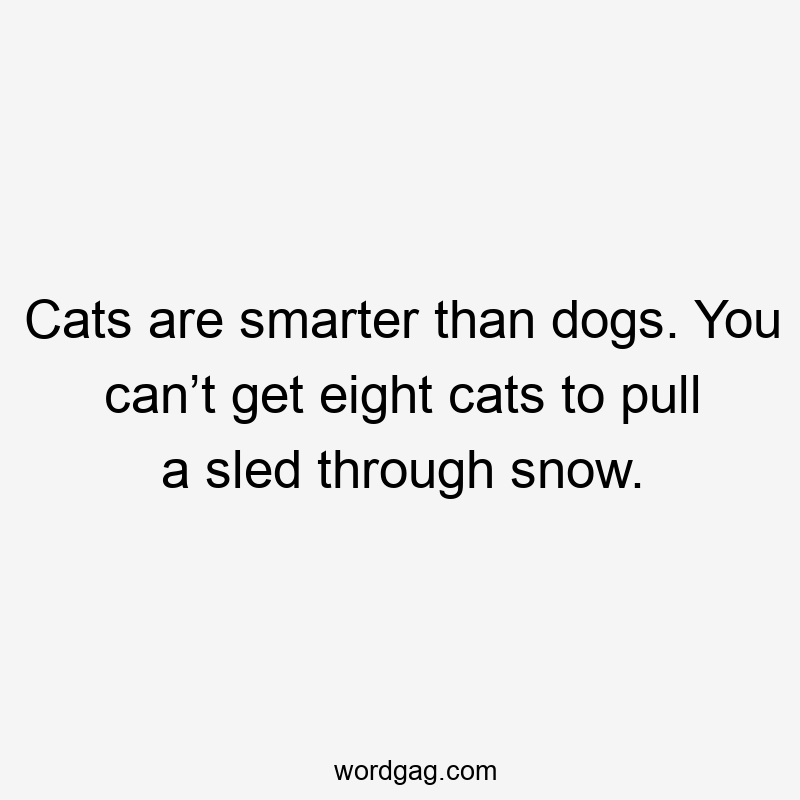 Cats are smarter than dogs. You can’t get eight cats to pull a sled through snow.