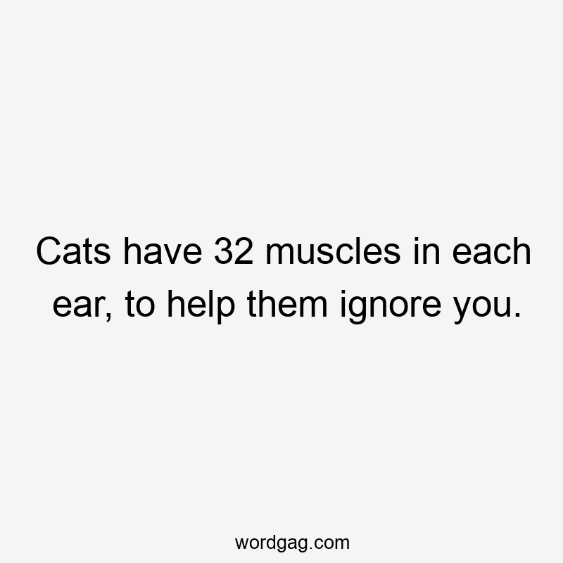 Cats have 32 muscles in each ear, to help them ignore you.