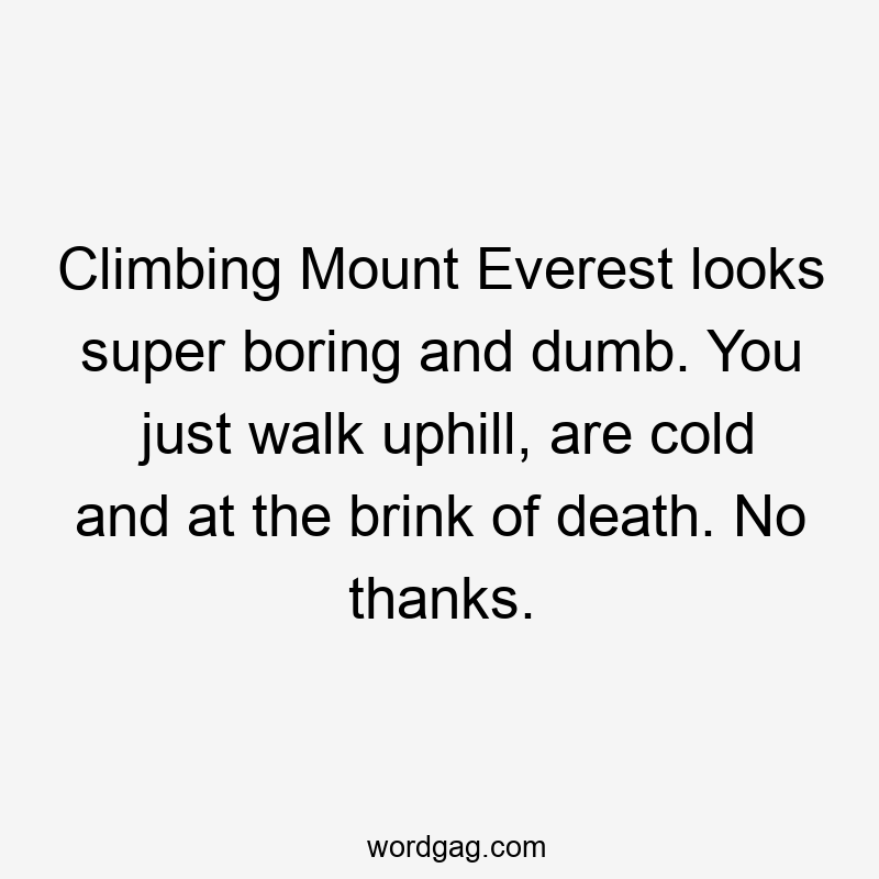 Climbing Mount Everest looks super boring and dumb. You just walk uphill, are cold and at the brink of death. No thanks.