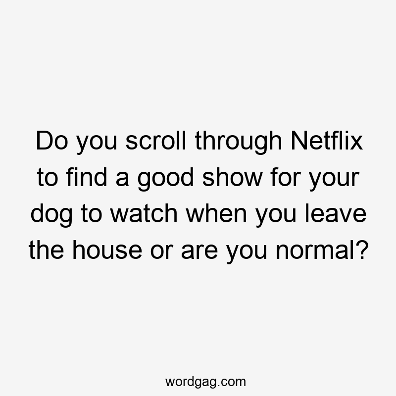 Do you scroll through Netflix to find a good show for your dog to watch when you leave the house or are you normal?