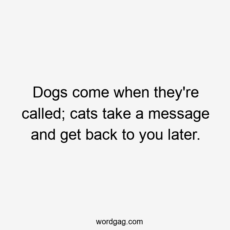 Dogs come when they’re called; cats take a message and get back to you later.