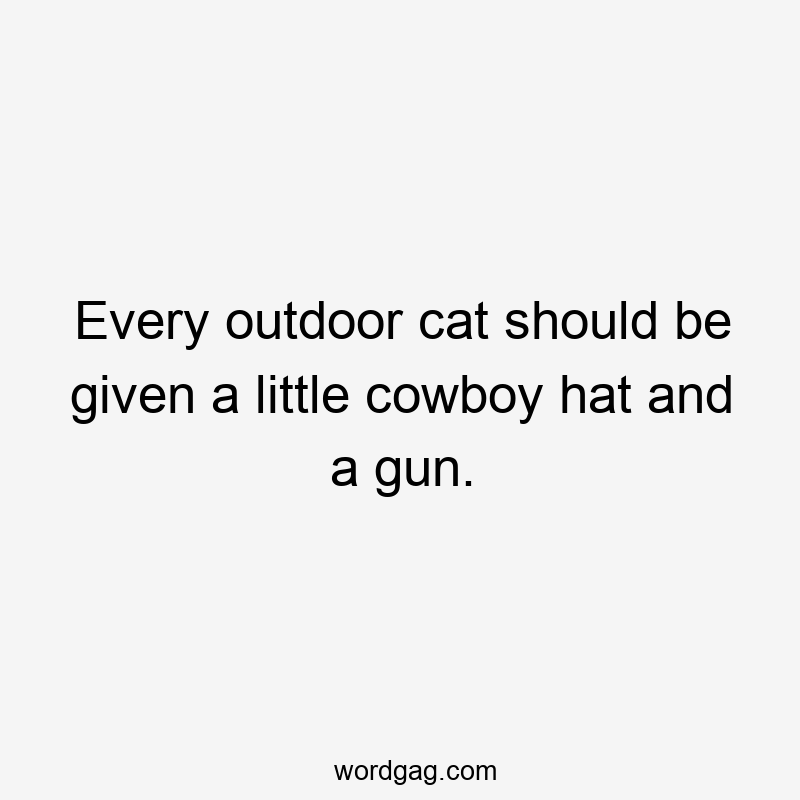 Every outdoor cat should be given a little cowboy hat and a gun.