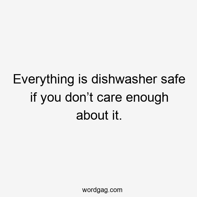 Everything is dishwasher safe if you don’t care enough about it.