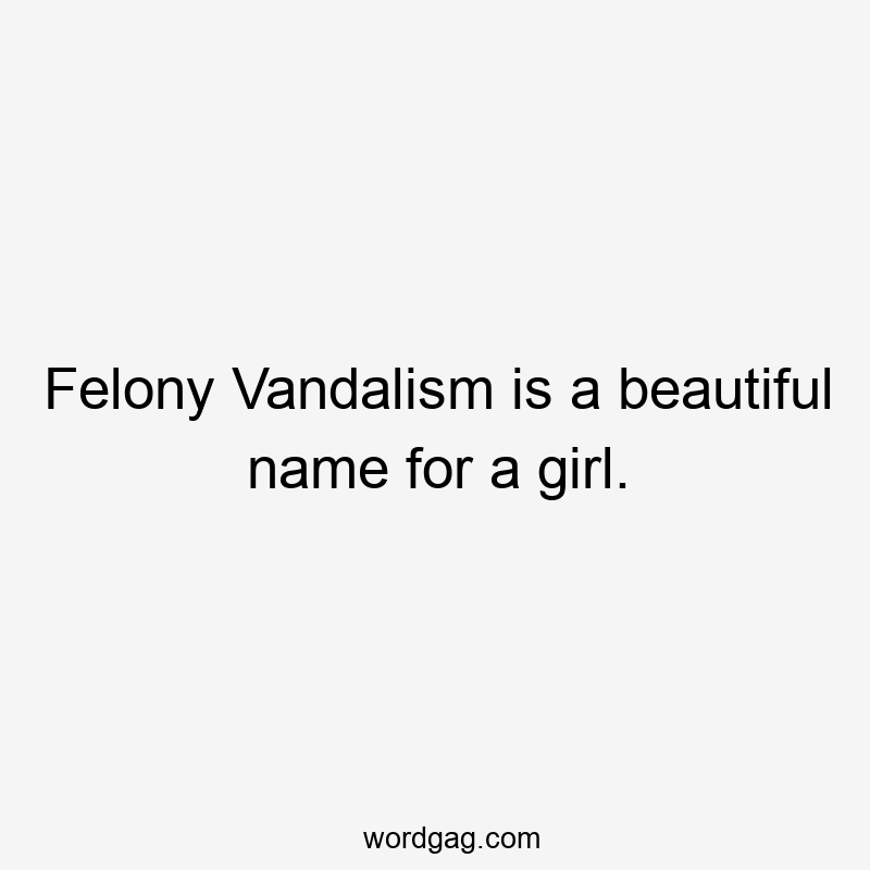 Felony Vandalism is a beautiful name for a girl.