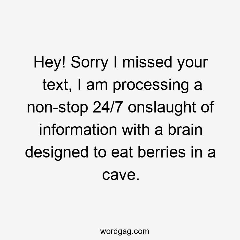 Hey! Sorry I missed your text, I am processing a non-stop 24/7 onslaught of information with a brain designed to eat berries in a cave.
