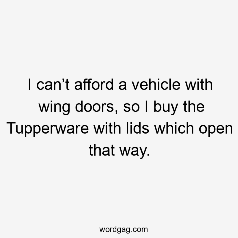 I can’t afford a vehicle with wing doors, so I buy the Tupperware with lids which open that way.
