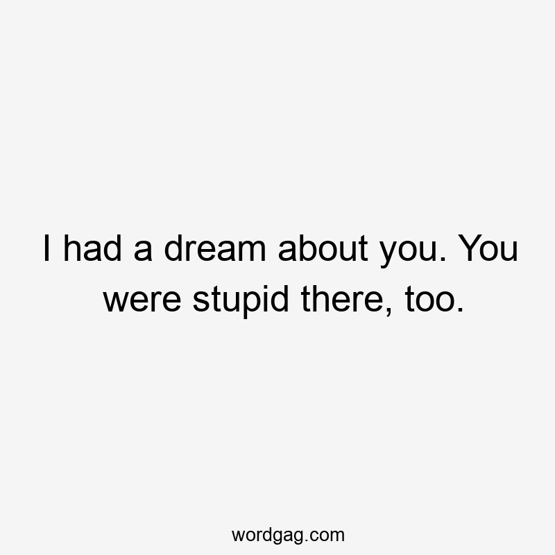I had a dream about you. You were stupid there, too.