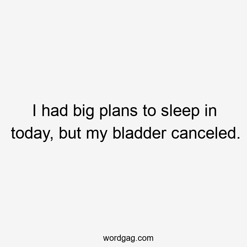 I had big plans to sleep in today, but my bladder canceled.
