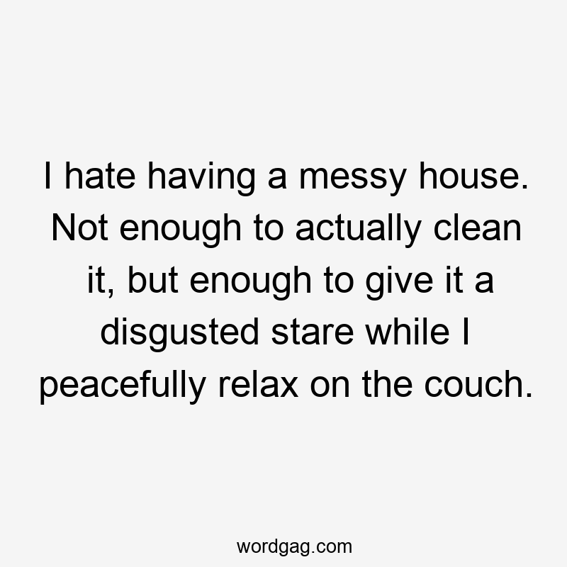 I hate having a messy house. Not enough to actually clean it, but enough to give it a disgusted stare while I peacefully relax on the couch.