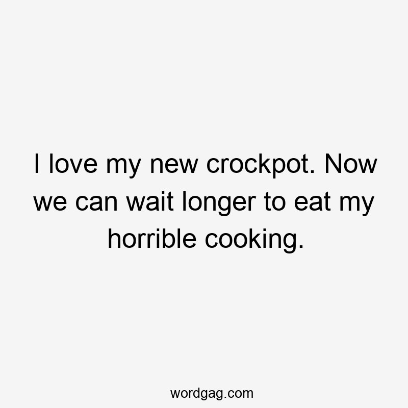 I love my new crockpot. Now we can wait longer to eat my horrible cooking.