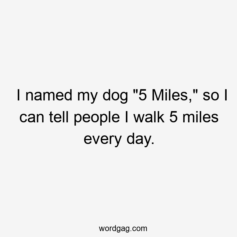 I named my dog “5 Miles,” so I can tell people I walk 5 miles every day.