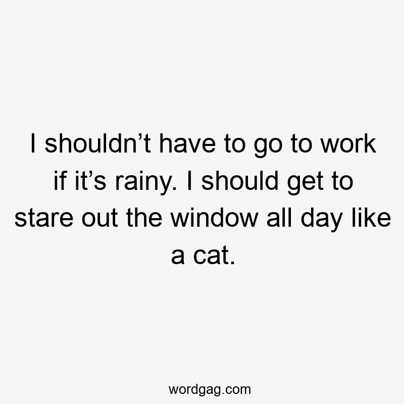 I shouldn’t have to go to work if it’s rainy. I should get to stare out the window all day like a cat.