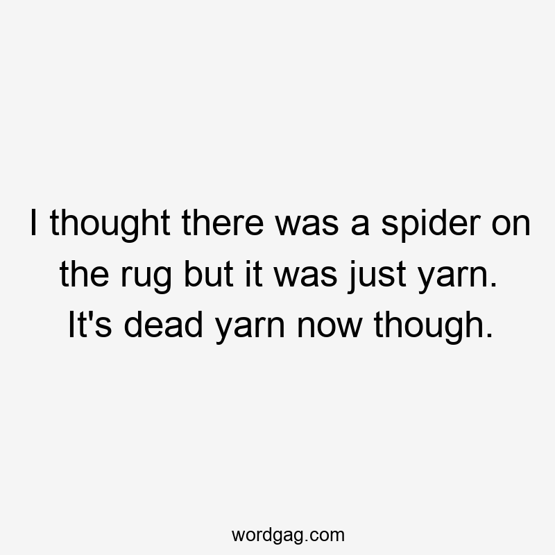 I thought there was a spider on the rug but it was just yarn. It's dead yarn now though.