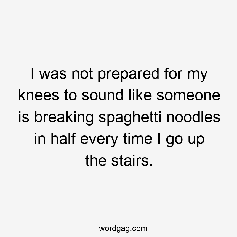 I was not prepared for my knees to sound like someone is breaking spaghetti noodles in half every time I go up the stairs.