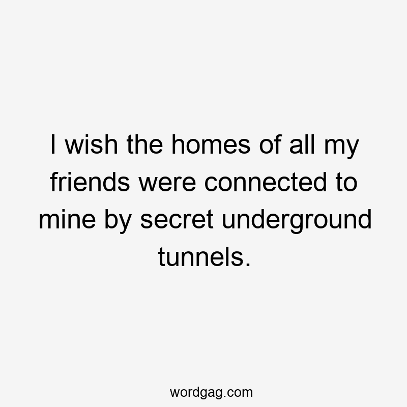 I wish the homes of all my friends were connected to mine by secret underground tunnels.