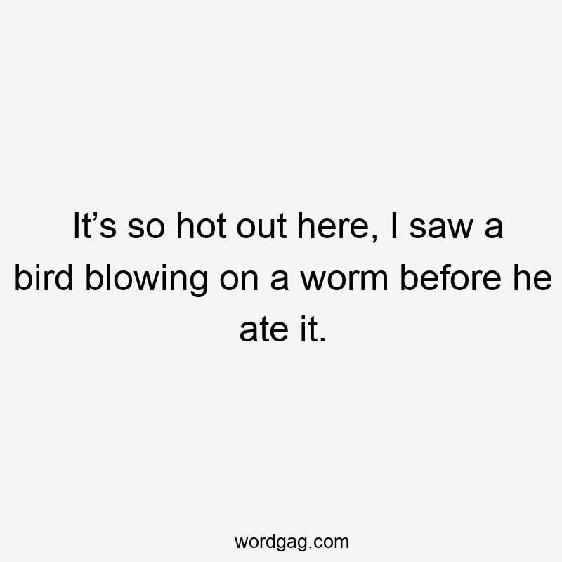 It’s so hot out here, I saw a bird blowing on a worm before he ate it.