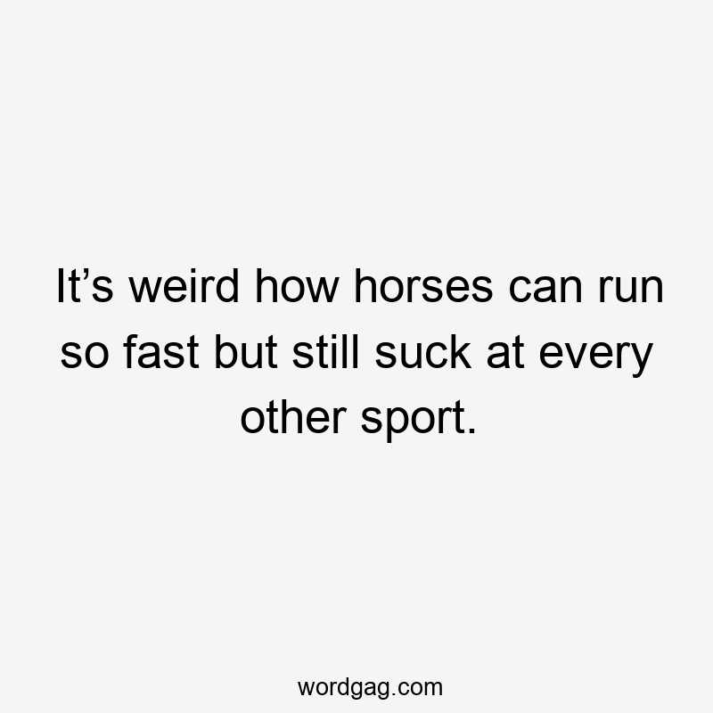It’s weird how horses can run so fast but still suck at every other sport.