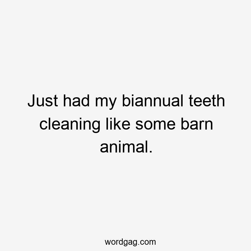 Just had my biannual teeth cleaning like some barn animal.