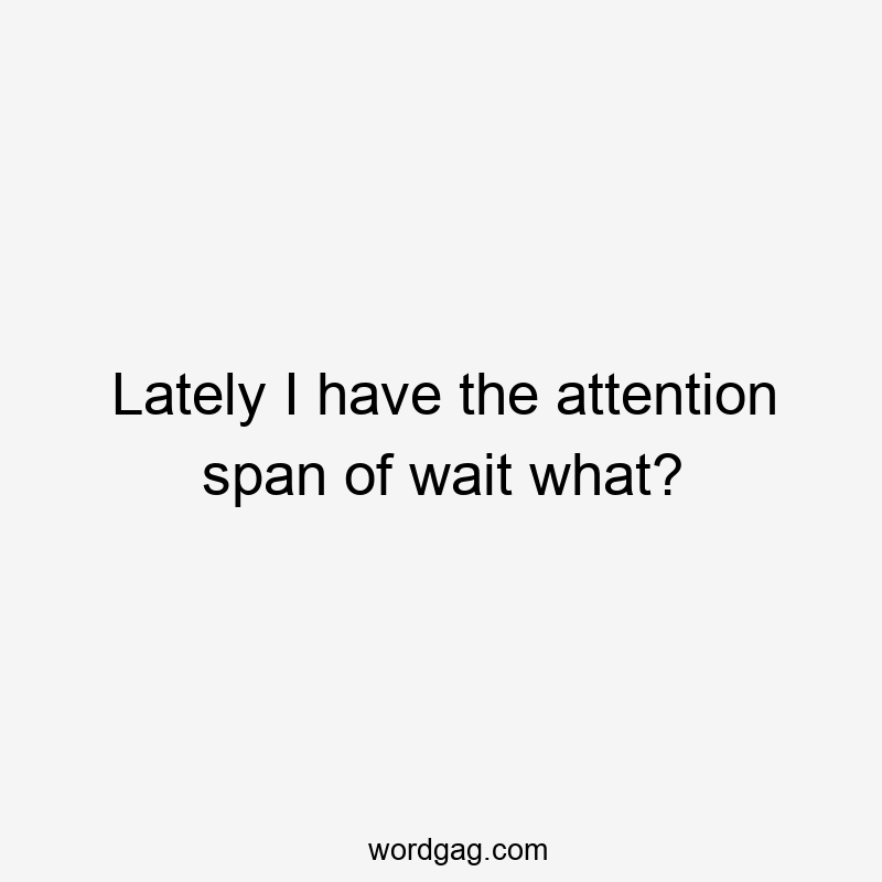 Lately I have the attention span of wait what?