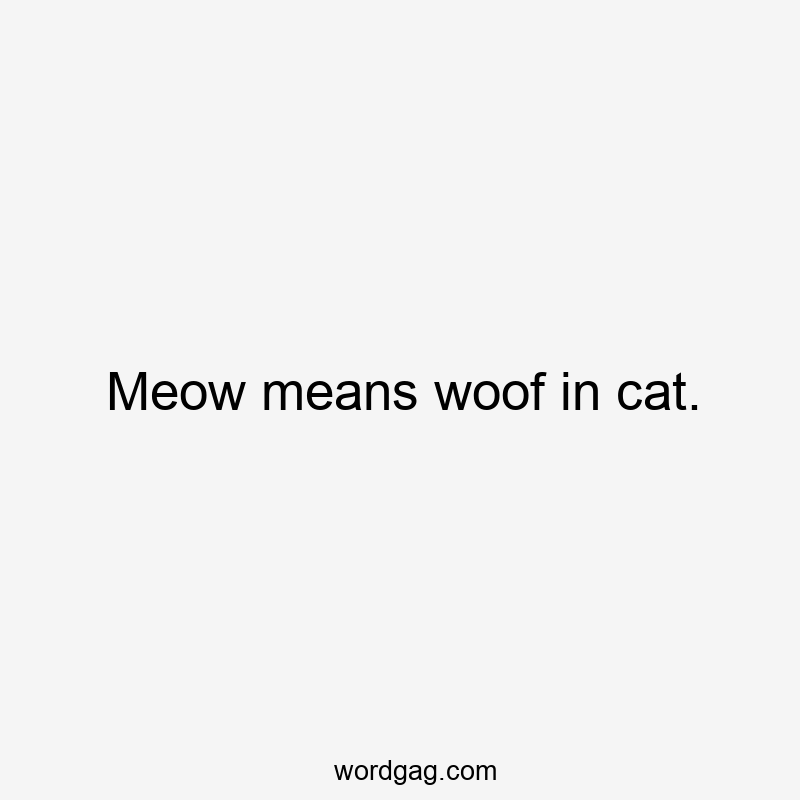 Meow means woof in cat.
