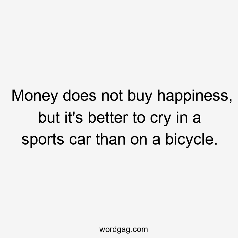 Money does not buy happiness, but it’s better to cry in a sports car than on a bicycle.