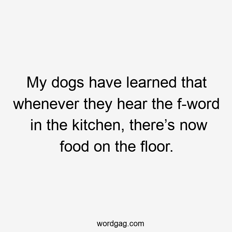 My dogs have learned that whenever they hear the f-word in the kitchen, there’s now food on the floor.
