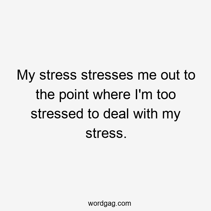 My stress stresses me out to the point where I’m too stressed to deal with my stress.