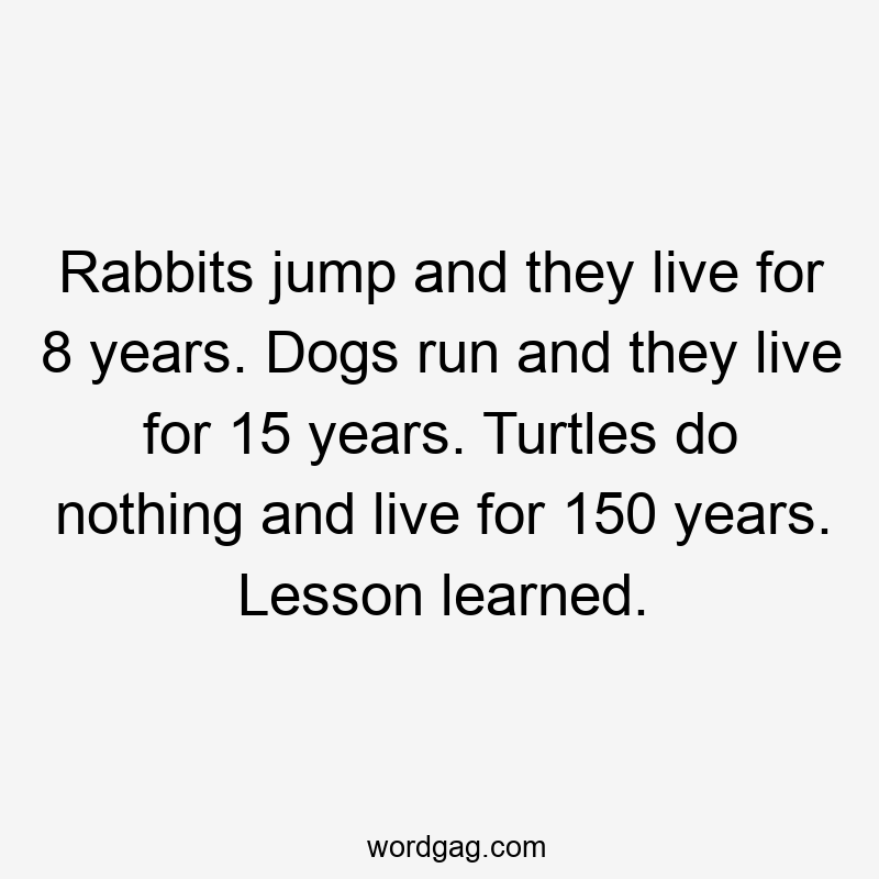 Rabbits jump and they live for 8 years. Dogs run and they live for 15 years. Turtles do nothing and live for 150 years. Lesson learned.