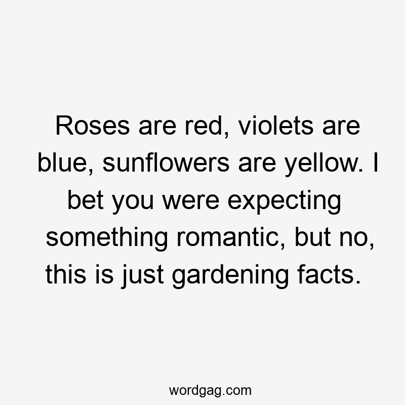 Roses are red, violets are blue, sunflowers are yellow. I bet you were expecting something romantic, but no, this is just gardening facts.