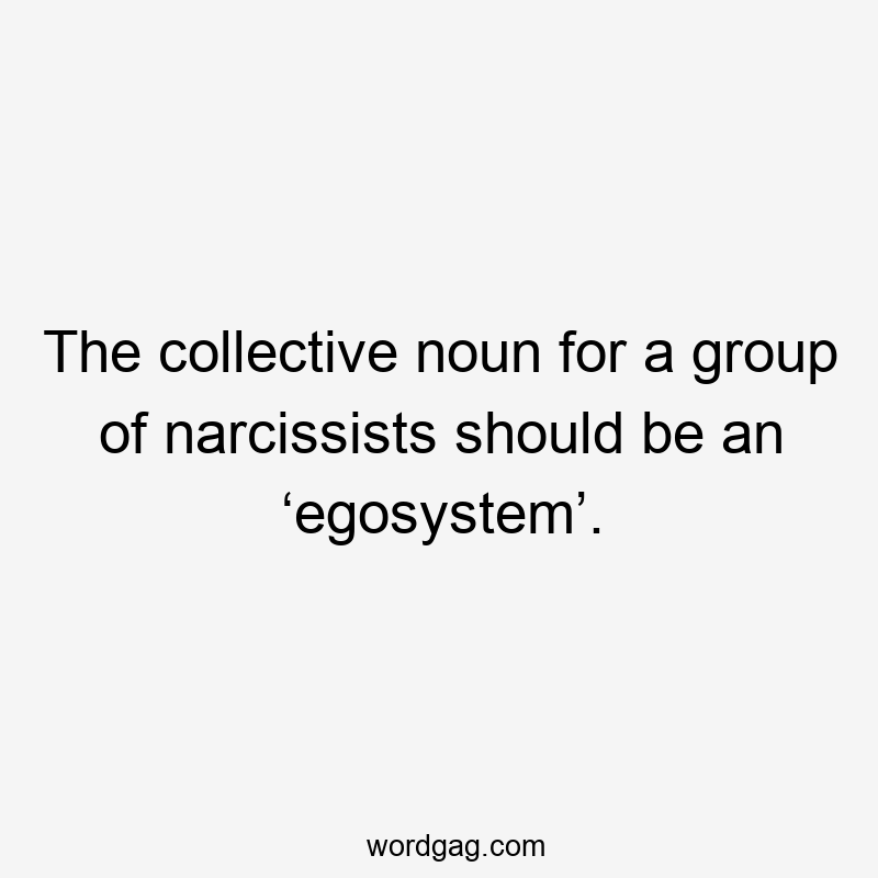 The collective noun for a group of narcissists should be an ‘egosystem’.