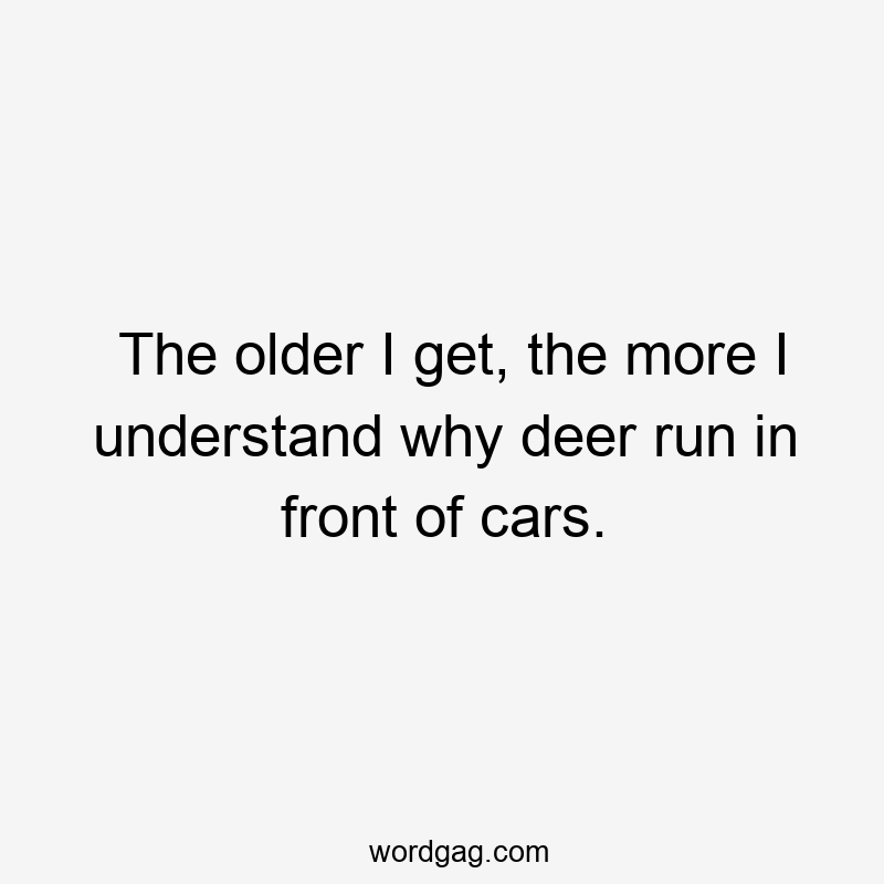 The older I get, the more I understand why deer run in front of cars.