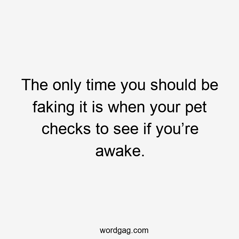 The only time you should be faking it is when your pet checks to see if you’re awake.