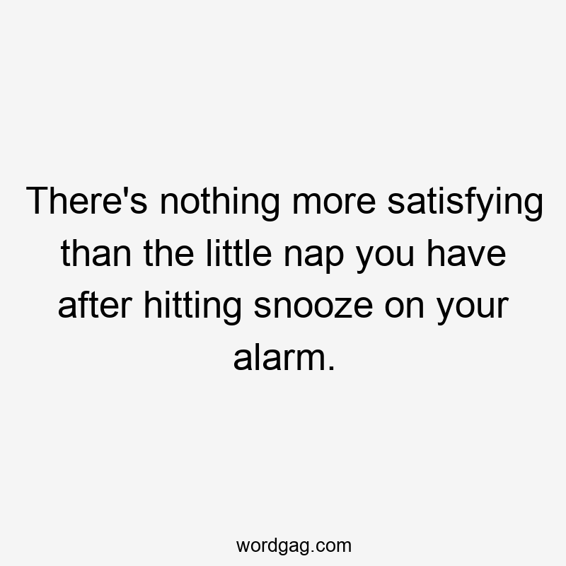 There's nothing more satisfying than the little nap you have after hitting snooze on your alarm.