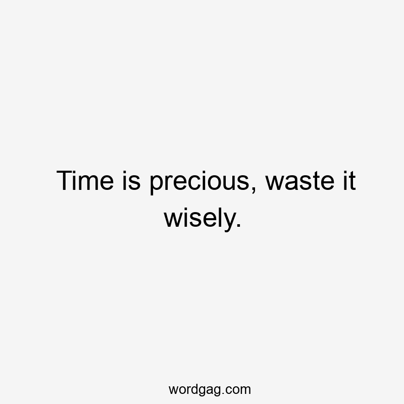 Time is precious, waste it wisely.