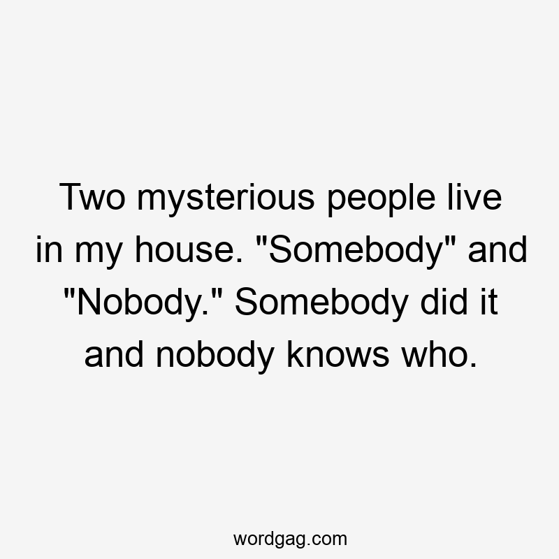 Two mysterious people live in my house. "Somebody" and "Nobody." Somebody did it and nobody knows who.