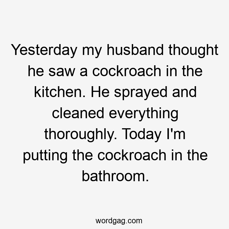 Yesterday my husband thought he saw a cockroach in the kitchen. He sprayed and cleaned everything thoroughly. Today I'm putting the cockroach in the bathroom.