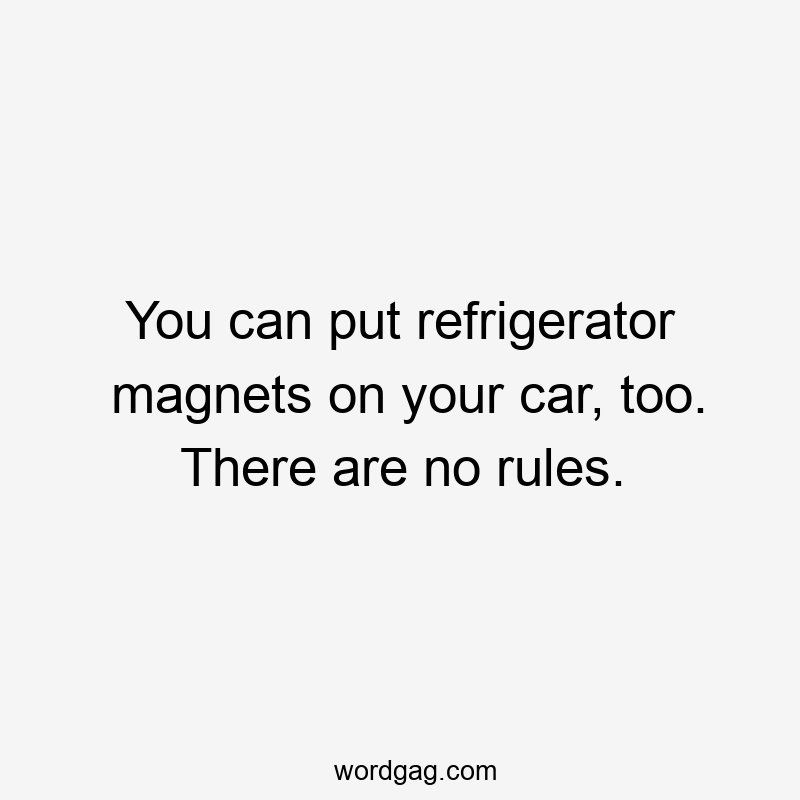 You can put refrigerator magnets on your car, too. There are no rules.