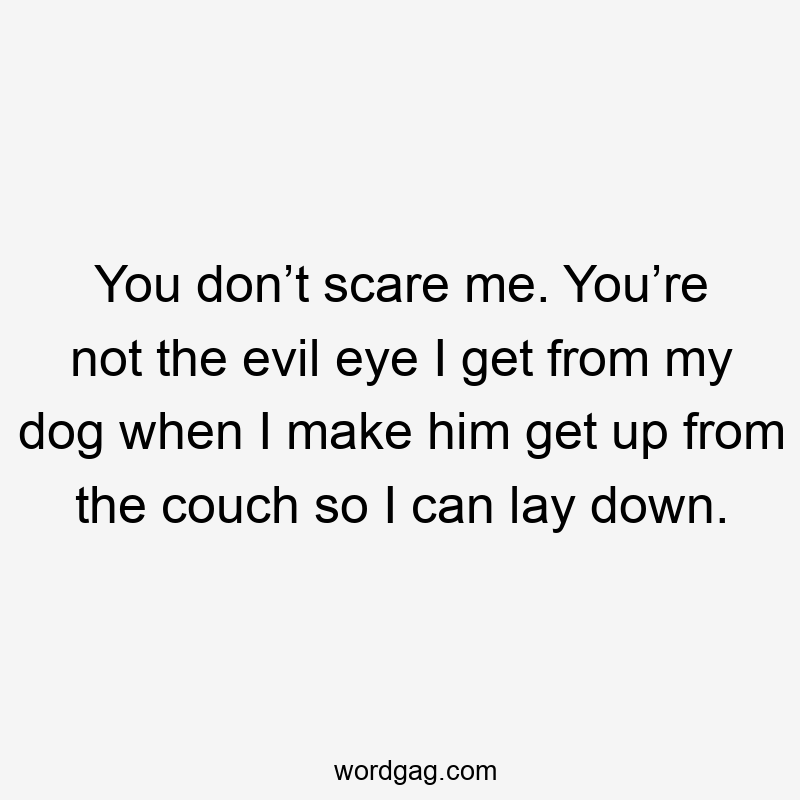 You don’t scare me. You’re not the evil eye I get from my dog when I make him get up from the couch so I can lay down.
