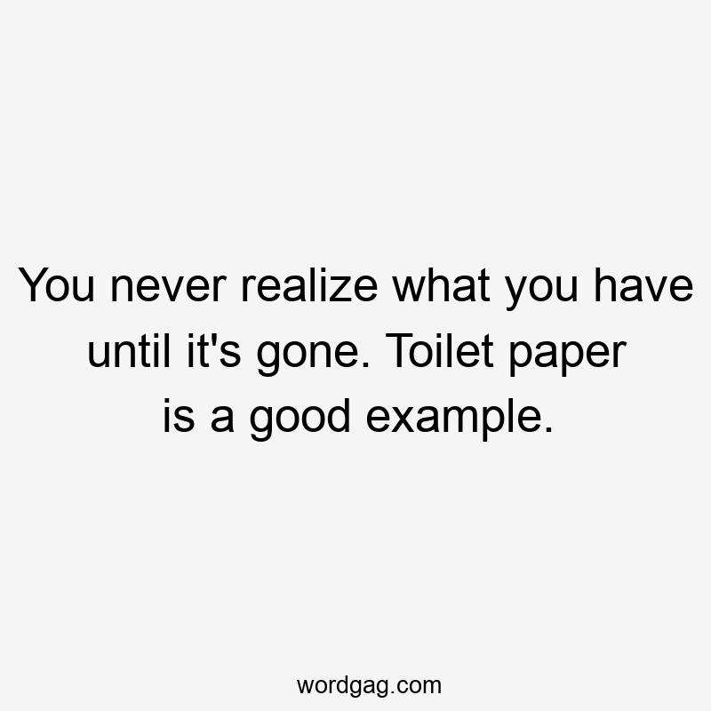 You never realize what you have until it's gone. Toilet paper is a good example.