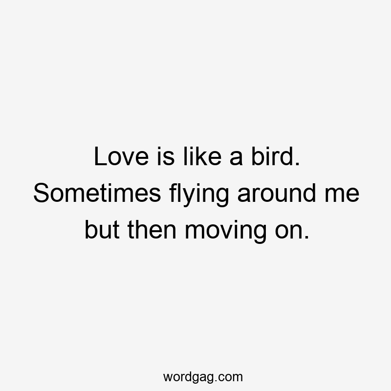 Love is like a bird. Sometimes flying around me but then moving on.