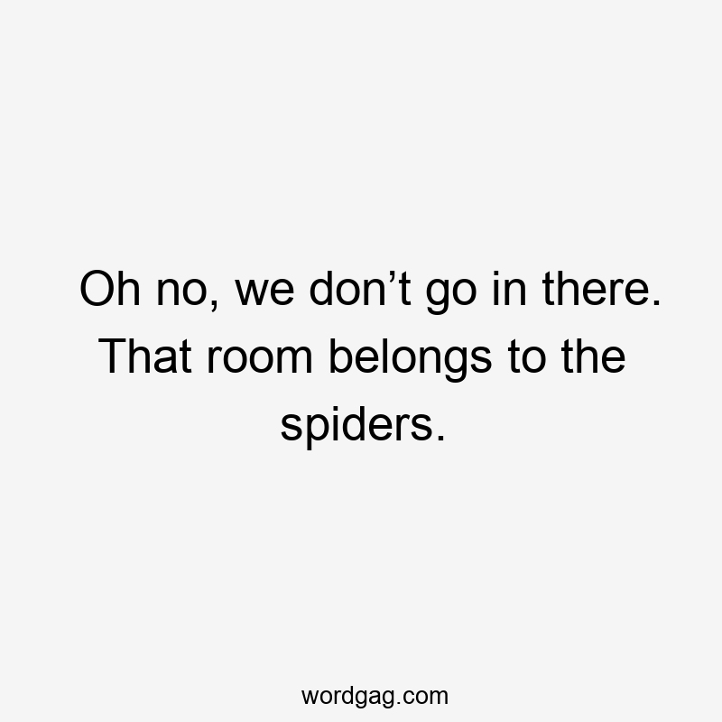 Oh no, we don’t go in there. That room belongs to the spiders.