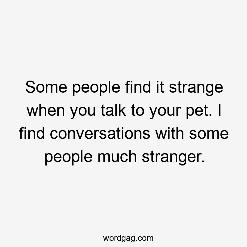 Some people find it strange when you talk to your pet. I find conversations with some people much stranger.