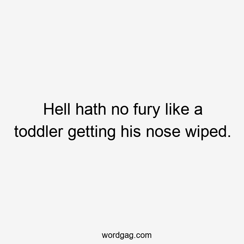 Hell hath no fury like a toddler getting his nose wiped.