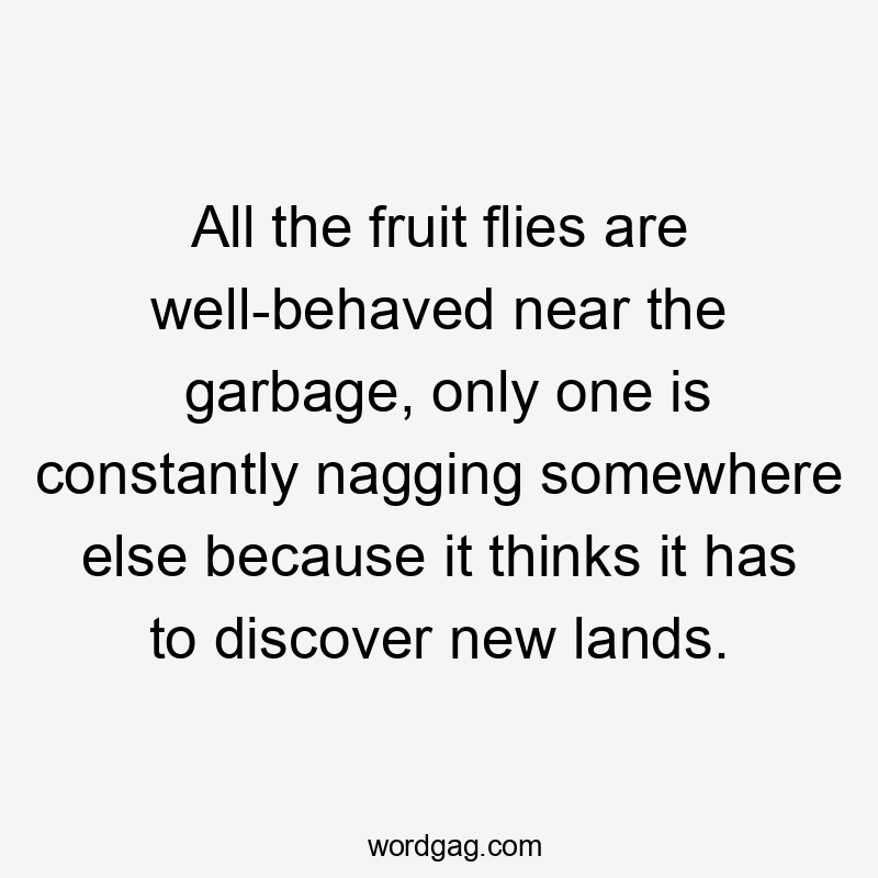 All the fruit flies are well-behaved near the garbage, only one is constantly nagging somewhere else because it thinks it has to discover new lands.
