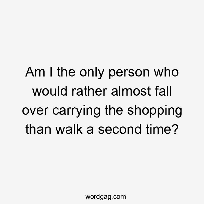 Am I the only person who would rather almost fall over carrying the shopping than walk a second time?