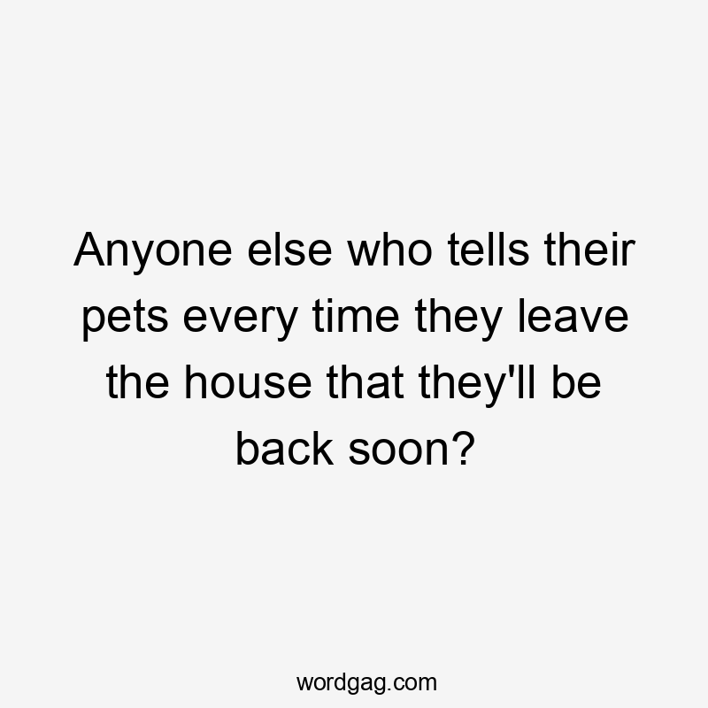 Anyone else who tells their pets every time they leave the house that they’ll be back soon?