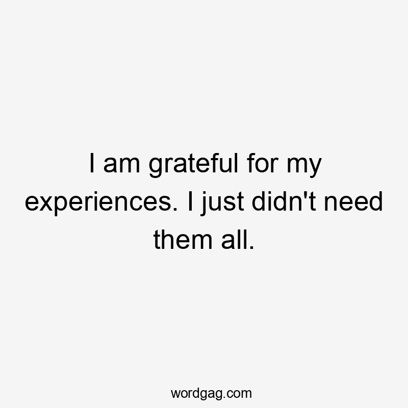 I am grateful for my experiences. I just didn’t need them all.