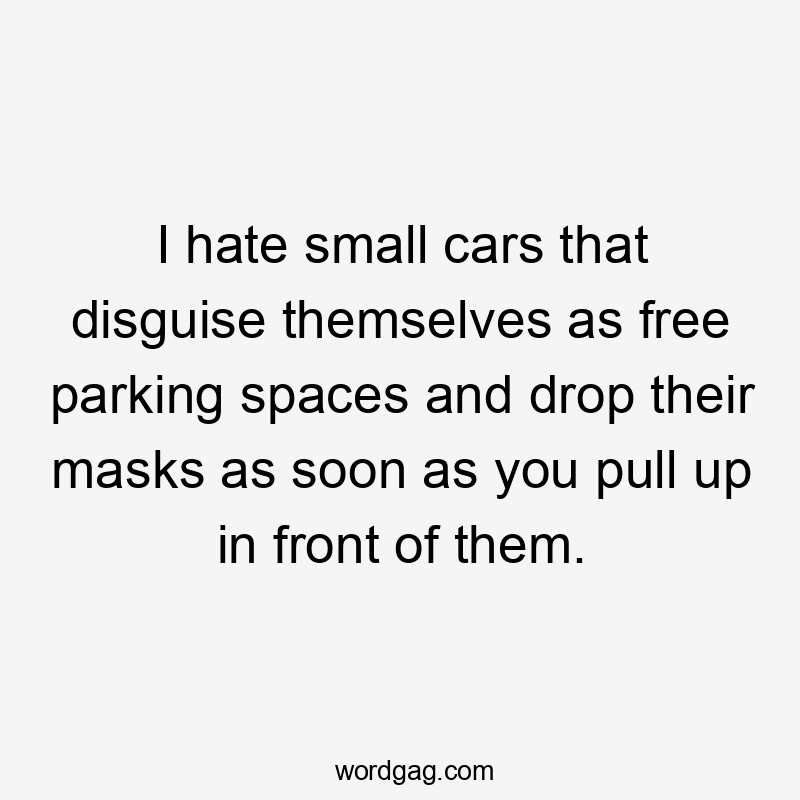 I hate small cars that disguise themselves as free parking spaces and drop their masks as soon as you pull up in front of them.