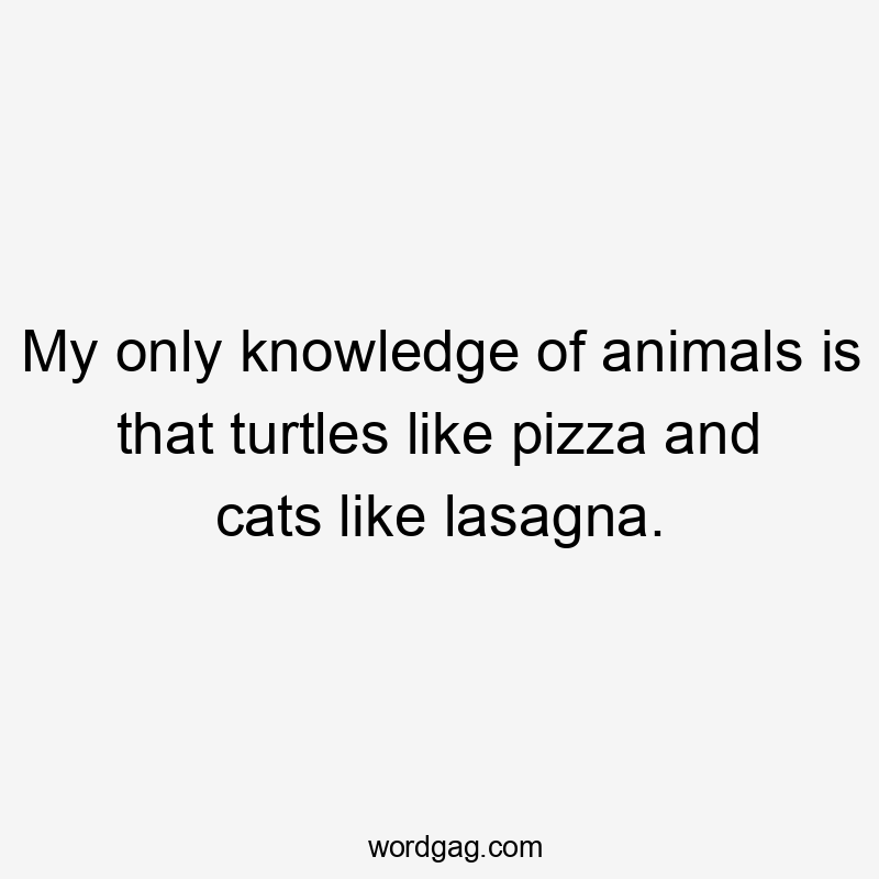 My only knowledge of animals is that turtles like pizza and cats like lasagna.